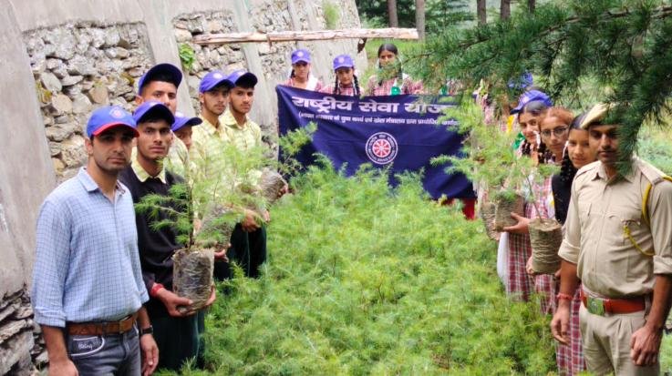 Children of Ullansa school planted saplings under 'Meri Mati, Mera Desh'