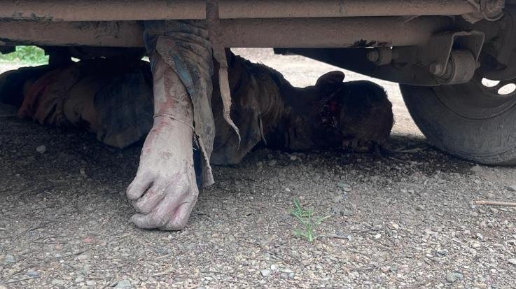 Body of a person found under the car in Tutuwa village of Kunihar
