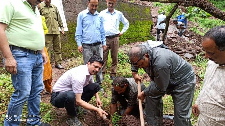  Rajgarh: Jal Shakti Mandal Rajgarh did plantation