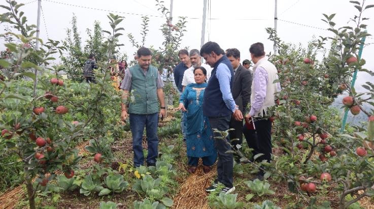 Horticulture Secretary reviewed research on natural farming