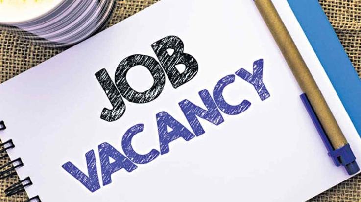 Campus interview for 242 posts in District Employment Office Solan on 31