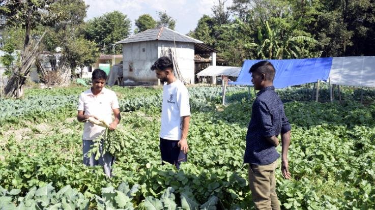  Balbir Saini became a new example of self-reliance for the youth.