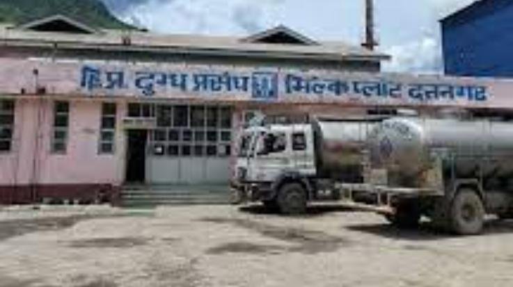Milk Federation will make pure desi ghee sweets available in the market on Diwali.123