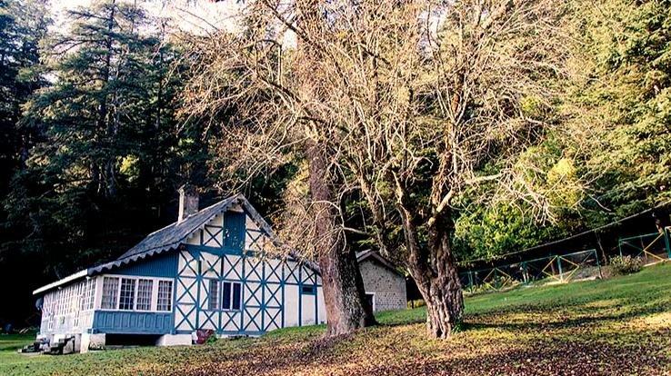 Eco-tourism will get a boost in Dharamshala forest area, rooms will be booked online