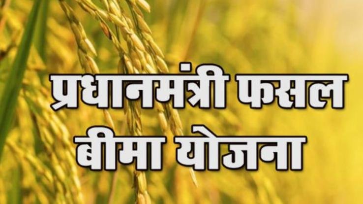 Nahan: Wheat and barley crops will be insured under the Prime Minister Crop Insurance Scheme: Deputy Director of Agriculture