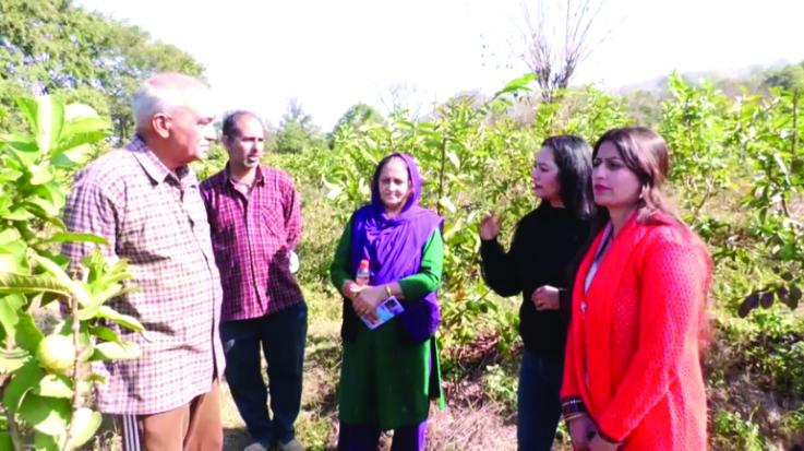 Hamirpur: 6 gardeners of Beed Bagehada created sweetness by planting fruit trees on barren land.