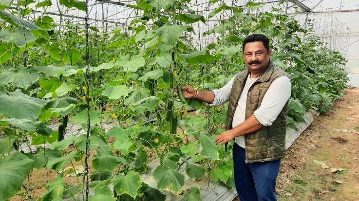 Indora: Chetan is earning lakhs by growing off season vegetables in polyhouse