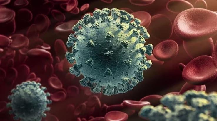 Dharamshala: Center's guidelines on Corona are being followed in Himachal123