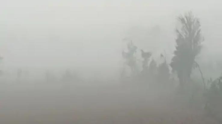 Dense fog will remain in the plains of Himachal till January 6.