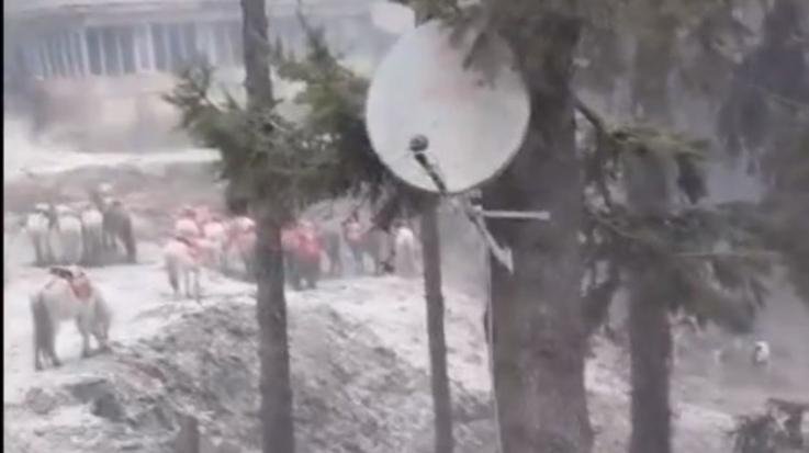 Shimla: The wait is over... snowflakes fell in Kufri