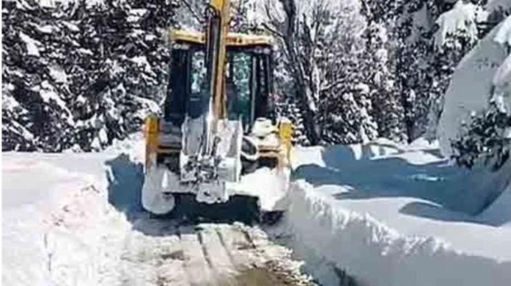 Public Works Department canceled leaves of 15 thousand employees