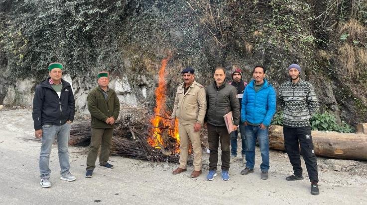 Kinnaur: Saved gardeners from harm by burning unauthorized plants.