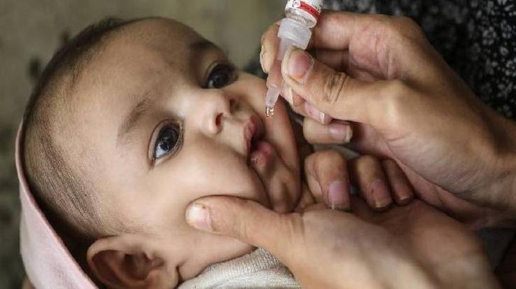 पोलियो ड्रॉप्स    