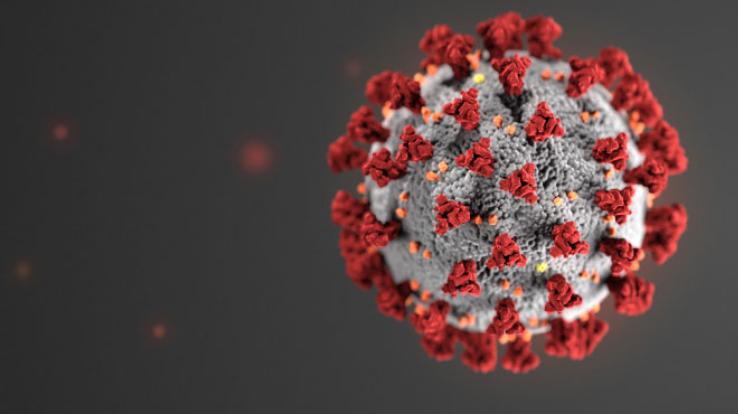 हमीरपुर मेडिकल कॉलेज  ने  करोना वायरस पर जारी की एडवाइजरी