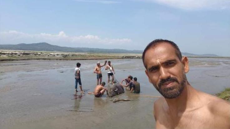  Dehra: Machhakund Mahadev Charan Sevak successful in rescuing cattle trapped in the swamp of Pang Dam.