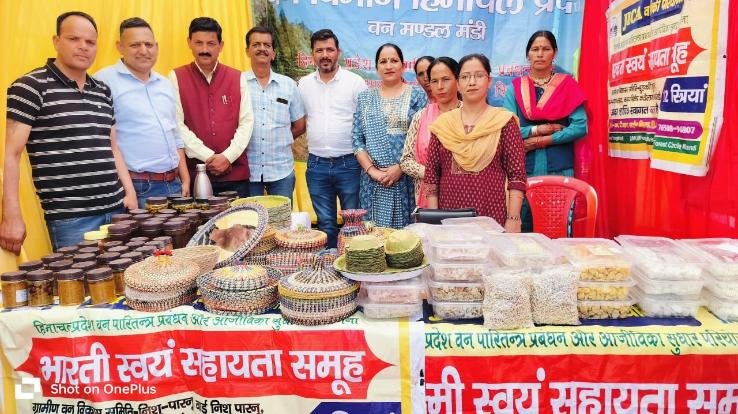 Market: Pine Needle Products in Sarna Huli Fair of Parashar