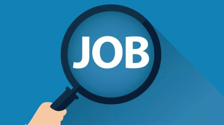 Mandi: Golden opportunity to get a job, you can also apply...