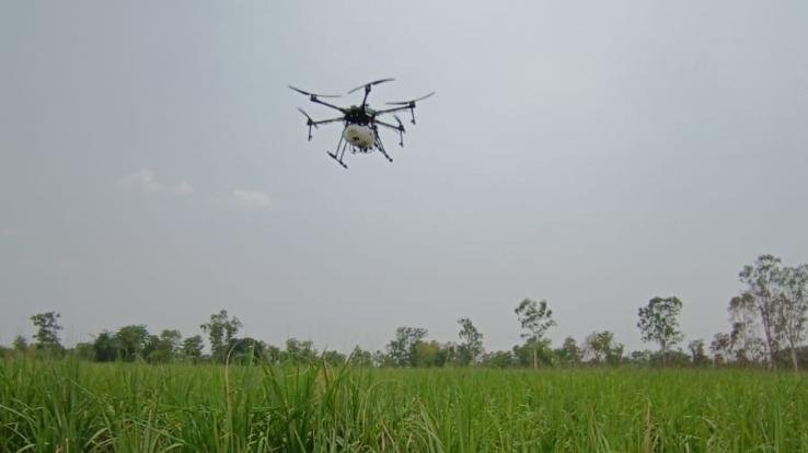 Training was conducted in Indora to facilitate spraying of fields with drones.