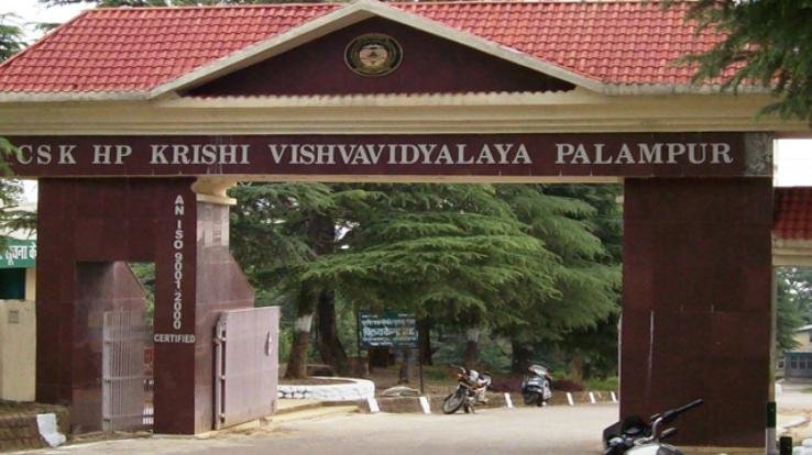 Research work on natural farming pending in Agricultural University, Palampur