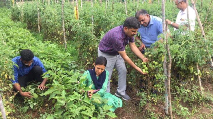 Rajiv Gandhi Natural Farming Start-up Scheme will bring prosperity in the lives of farmers