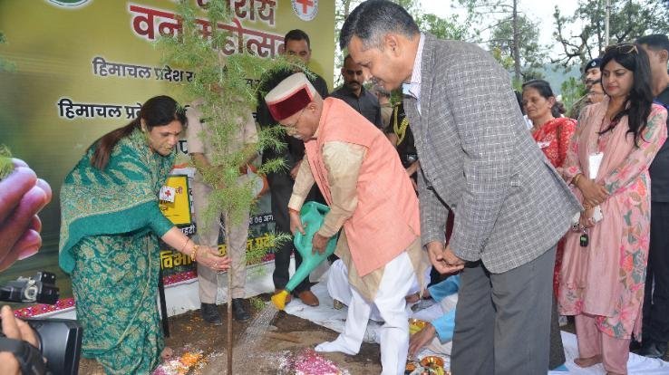 Governor planted cedar sapling in the glen