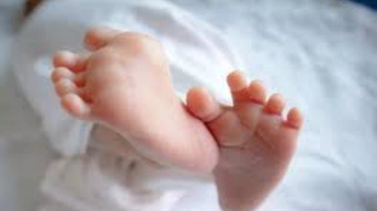 Bilaspur: Dead body of a newborn girl found in a drain on the side of a field in Ward-2 of Ghumarwin.