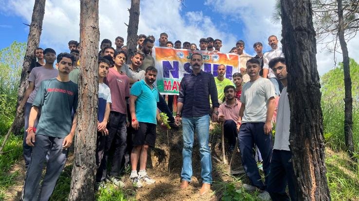 Solan: Tree plantation campaign organized in the university campus by NSUI Nauni Unit