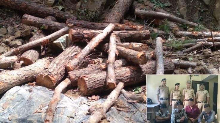 Nahan: 4 accused arrested in illegal felling of trees, will appear in court today
