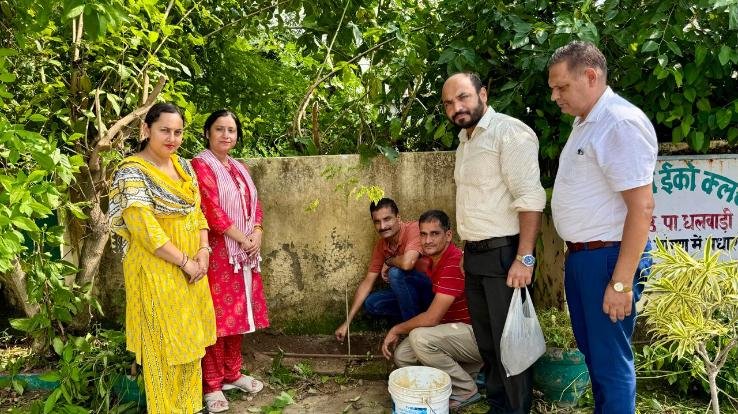 Saplings were planted in Government High School Dhalwadi on the occasion of Environment Fortnight.