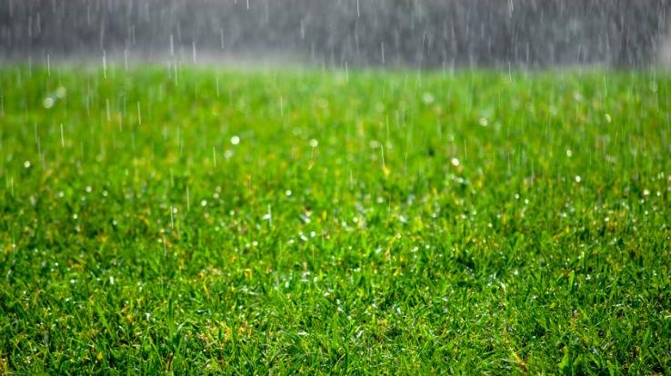 किसानों में फैली ख़ुशी की लहर, जाने वजह