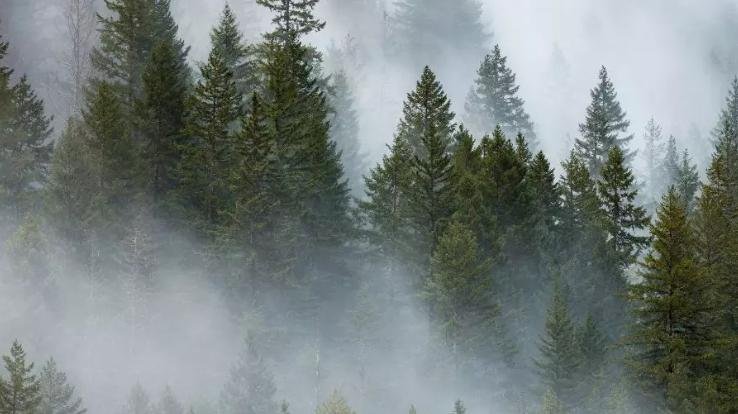 Dense fog alert issued in Himachal till November 28