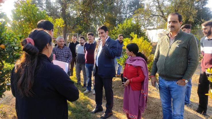 Motivate farmers to produce vegetables, fruits and milk: DC Kangra