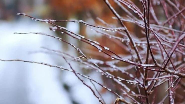 Mercury in minus in 7 districts of Himachal, roads slippery, yellow alert issued for cold wave