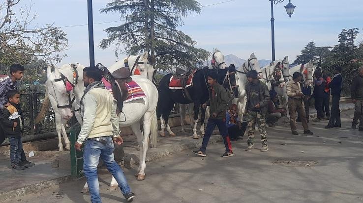 Clash between tourists and horse handlers in Kufri, Shimla, two injured