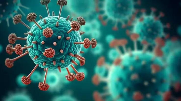 HMPV virus, which created a stir in China, reached India, detected in an 8-month-old girl in Bengaluru.