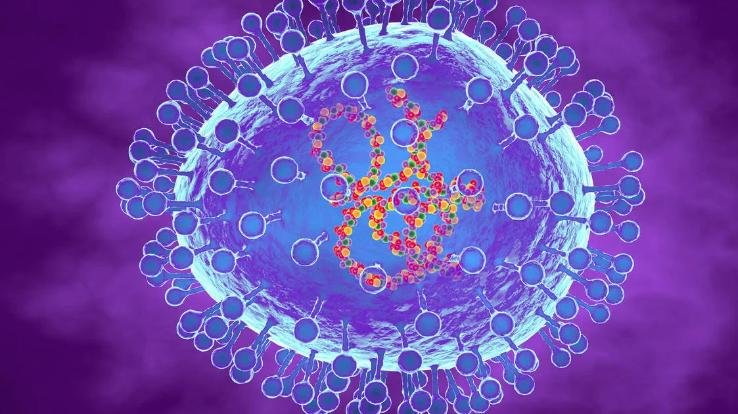HMPV Virus: RTPCR test started for detection, preparation to set up special lab