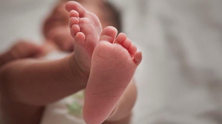 Solan: Shameful incident happened again in Devbhoomi, newborn girl found near the crematorium, police engaged in investigation.