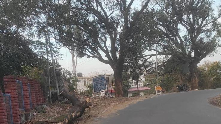 A tree branch lying on the roadside in the debris poses a danger of accident, questions raised on the negligence of the administration.