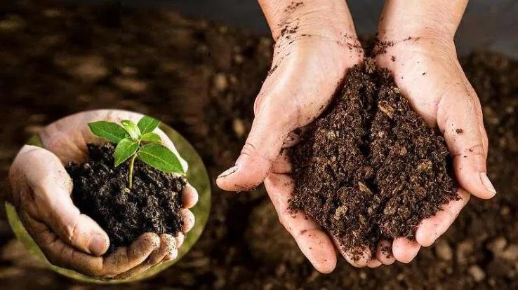 Cowdung -and- compost -purchase- scheme- started- in -Solan- district
