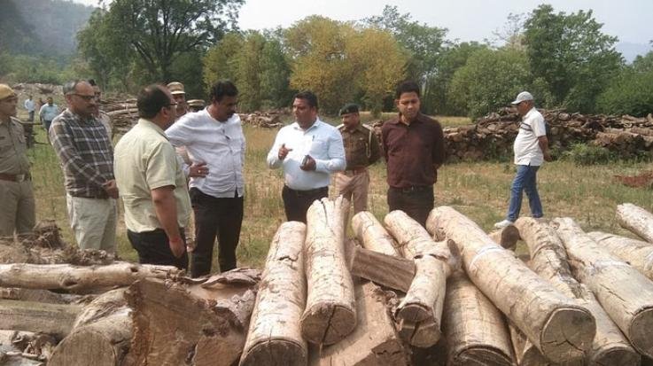 Central- team -reached -Dharampur -to- investigate- the- illegal -felling- case, -also -questioned- forest- department -officials