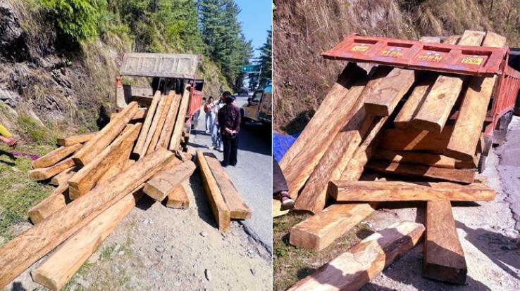 Mandi: Forest department team seized a tipper loaded with 50 deodar sleepers during a check post