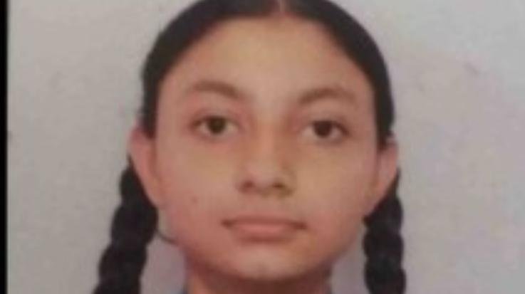 Himachal- Board -12th- result -declared-: Unas- Mehak- becomes- topper