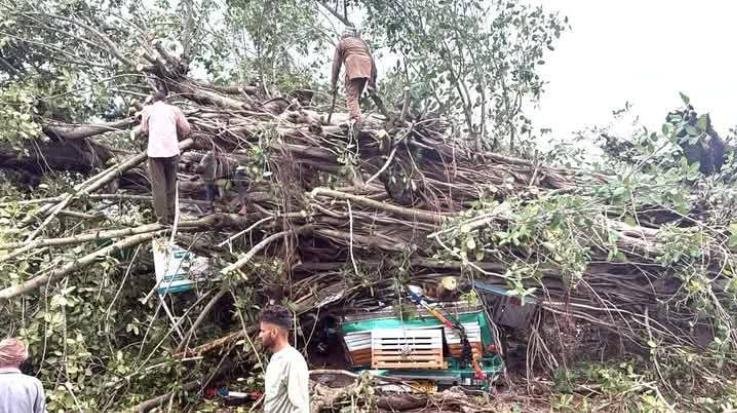 Himachal-: Weather -changed -in- many- places-.... Damage- caused- due- to- storm