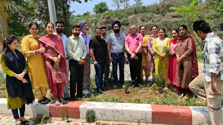 A grand tree plantation campaign was organized at Indus International University