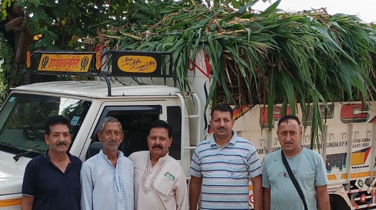 Social workers of Kariyada donated a trolley of green fodder to Moohal Gaushala