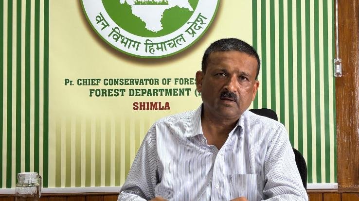Himachal: Forest department set a target of bringing greenery on 1820 hectares of land
