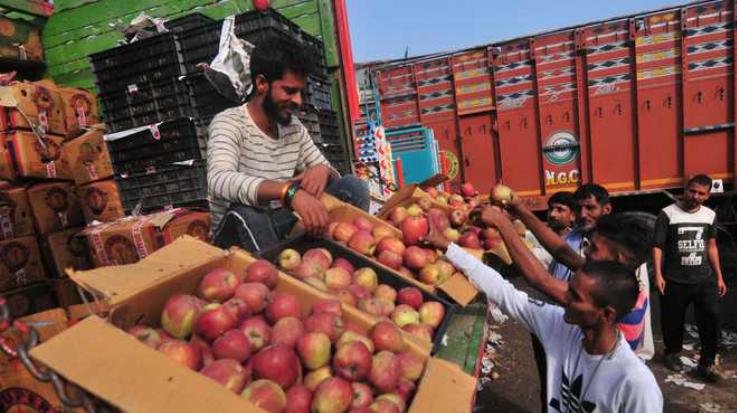 Himachal Apple Season: Special Road Tax Exemption for Trucks from Other States, Government Issues Notification