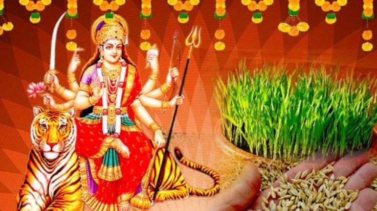 Why is barley sown on the first day of Shardiya Navratri? Know what is its importance