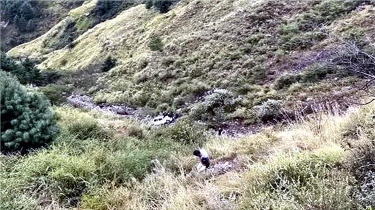Shimla_Bolero_car_falls_into_300_feet_deep_gorge_2_youths_killed_one_injured