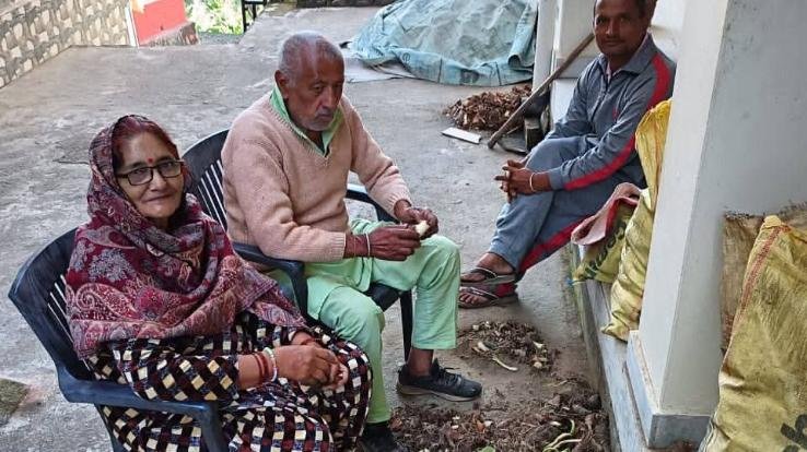 Dharampur_Mandi_Binga_has_a_bumper_crop_of_arbi_with_buyers_coming_from_far_and_wide.